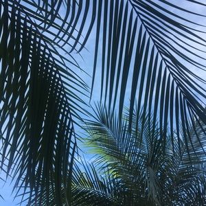 Meet your Posher, Petra